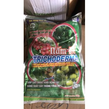 Trichoderma 